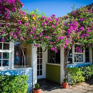 Salvia Geribá Fishbone Zone Estalagem